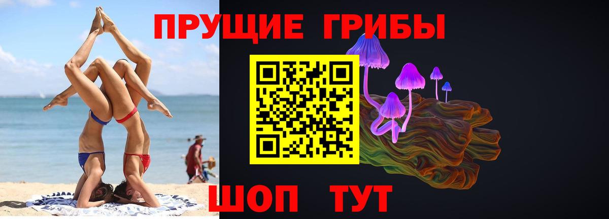 Псилоцибиновые грибы прущие грибы Тавда